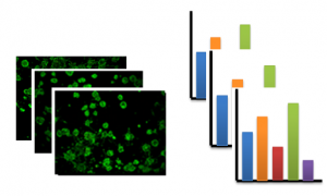 Cells and barplots